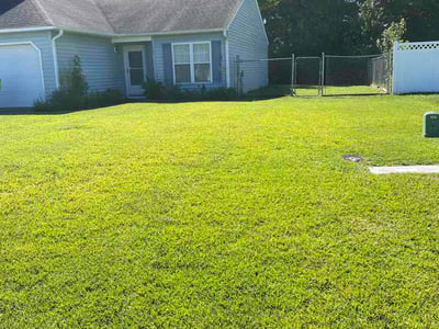 Lawn Care service in Clyde, 28721