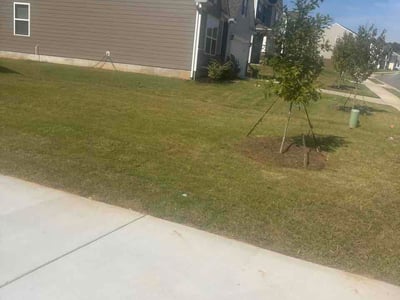 Lawn Care service in Gastonia, 28052