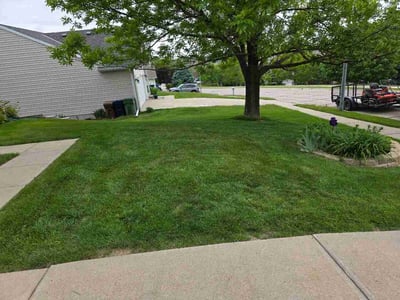 Lawn Care service in Bellevue, 68005