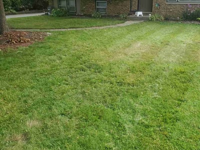Lawn Care service in West Chicago, 60185