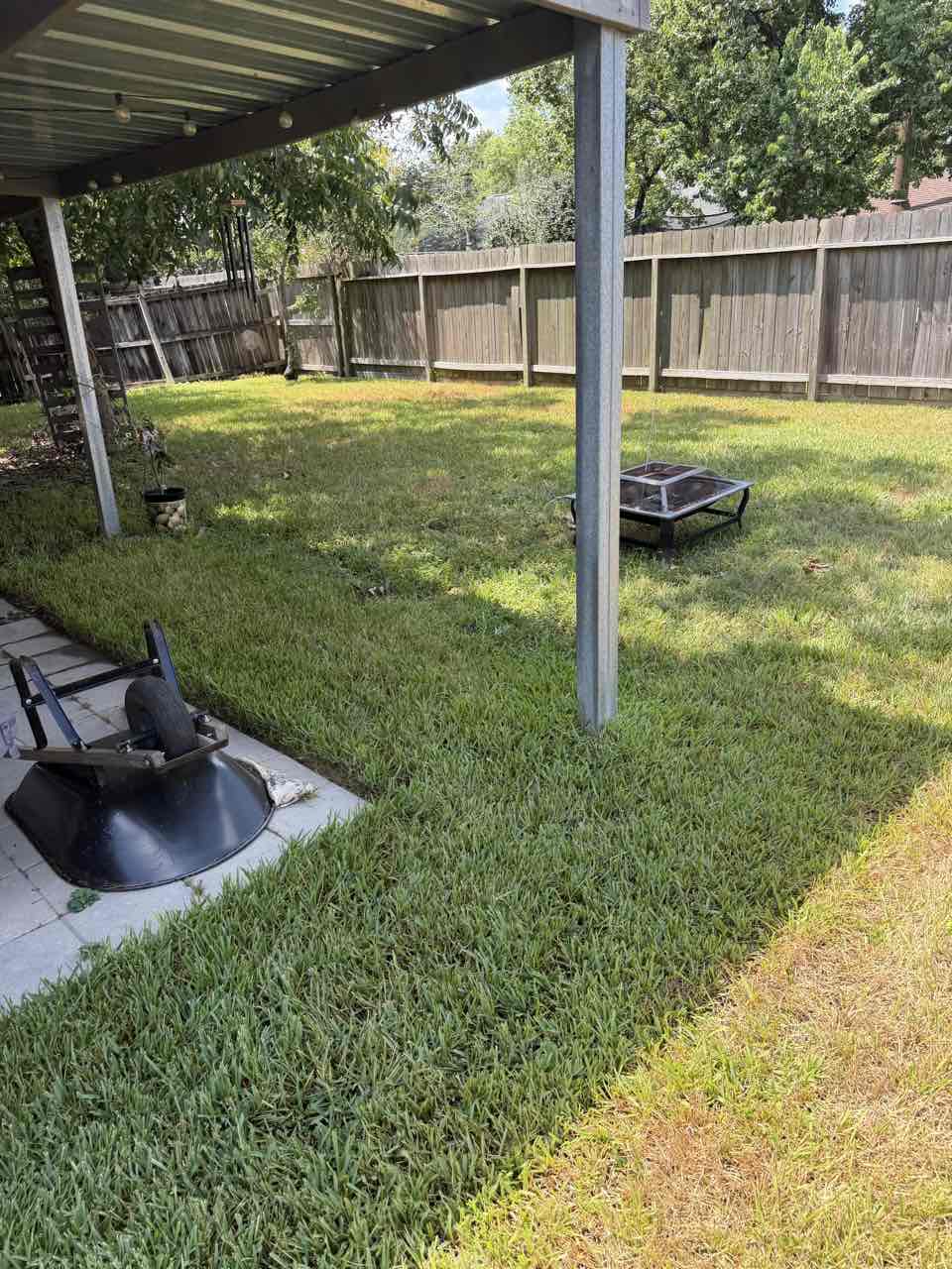 Lawn Care service in Seabrook, 77586