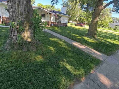 Lawn Care service in Bellevue, 68005