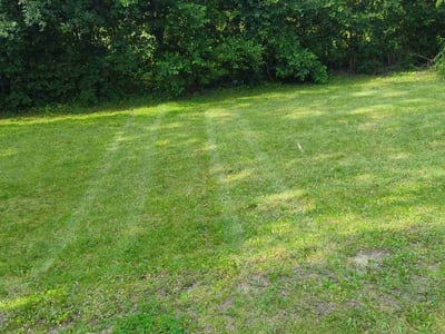 Lawn Care service in West Chicago, 60185