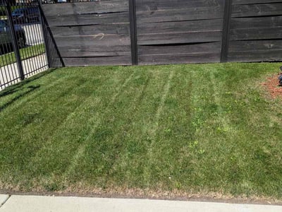 Lawn Care service in Schaumburg, 60194
