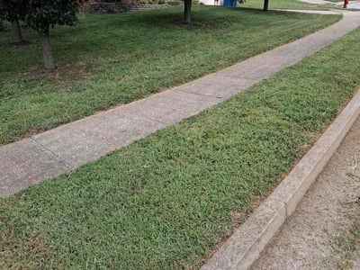 Lawn Care service in Nicholasville, 40356