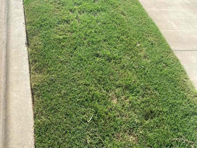 Lawn Care service in Crowley, 76036