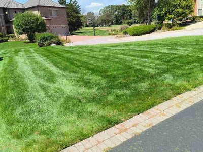 Lawn Care service in Orland Park, 60462