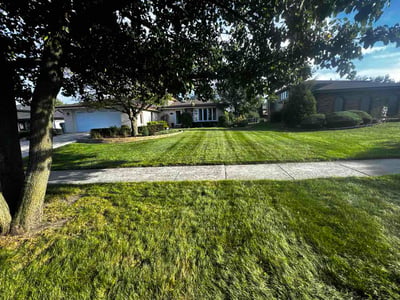 Lawn Care service in Orland Park, 60462