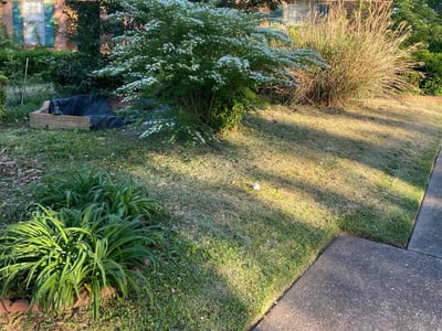 Lawn Care service in Reseda, 91335