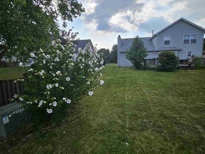 Lawn Care service in Romeoville, 60446