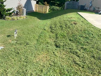 Lawn Care service in Kingston, 37763