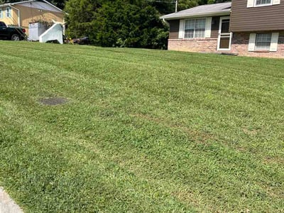 Lawn Care service in Kingston, 37763