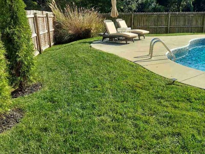 Lawn Care service in Leicester, 28748