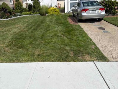 Lawn Care service in Farmingdale, 11735
