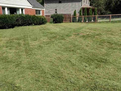 Lawn Care service in Leicester, 28748
