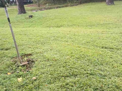 Lawn Care service in Joplin, 64801