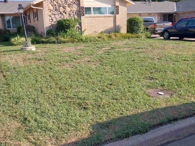 Lawn Care service in Farmingdale, 11735