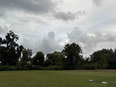 Lawn Care service in Angleton, 77515