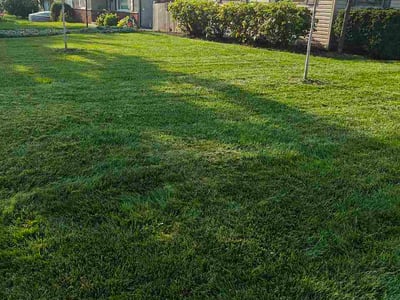 Lawn Care service in West Chester, 19380