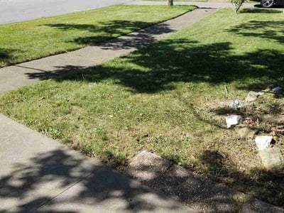 Lawn Care service in Canonsburg, 15317