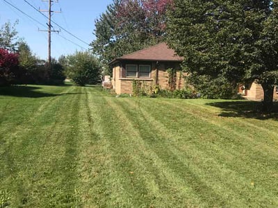 Lawn Care service in Traverse City, 49684