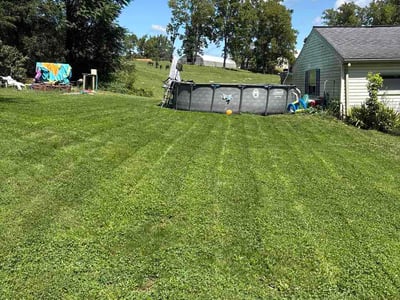 Lawn Care service in Denver, 17517