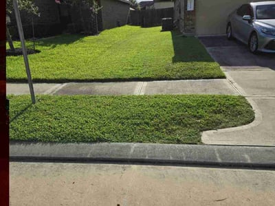 Lawn Care service in Fresno, 77545