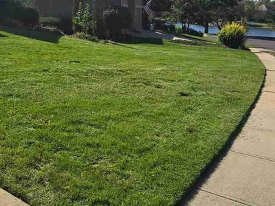 Lawn Care service in Mission, 66202