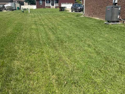 Lawn Care service in Mount Washington, 40047