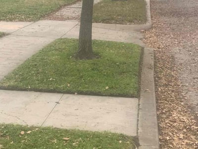 Lawn Care service in Anaheim, 92805