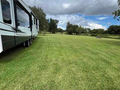 Lawn Care service in La Marque, 77568