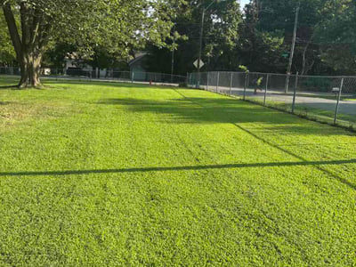 Lawn Care service in Grain Valley, 64029