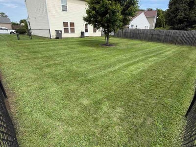 Lawn Care service in Haysville, 47546