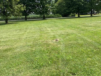 Lawn Care service in Barrington, 02806