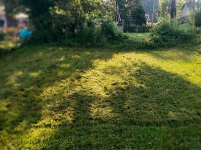 Lawn Care service in Clarks Summit, 18411