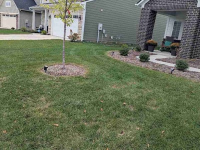 Lawn Care service in McKees Rocks, 15136