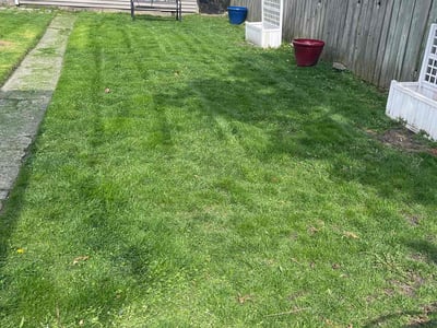 Lawn Care service in Elmhurst, 60126