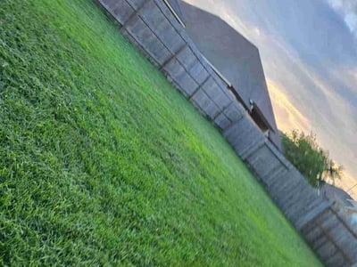 Lawn Care service in Baytown, 77520