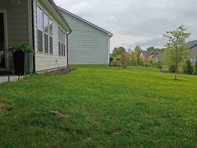 Lawn Care service in Dunbar, 15431