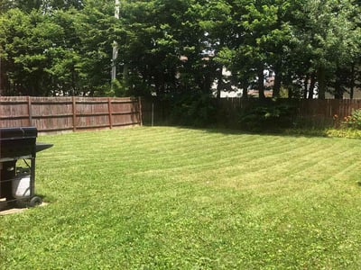 Lawn Care service in Dunbar, 15431