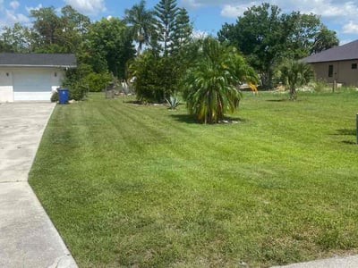 Lawn Care service in Homosassa, 34448