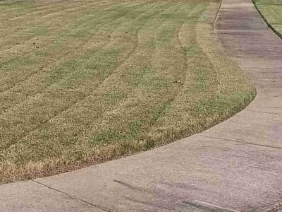 Lawn Care service in Southaven, 38671