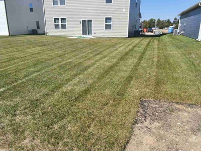 Lawn Care service in Broad Ripple, 46220
