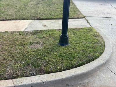 Lawn Care service in Westfield, 07090