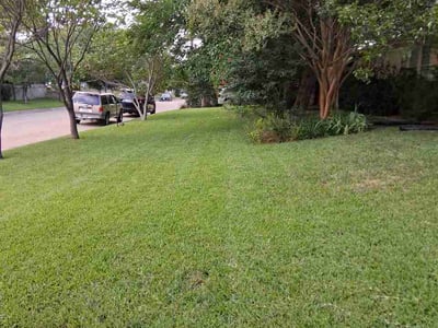 Lawn Care service in Watauga, 76148