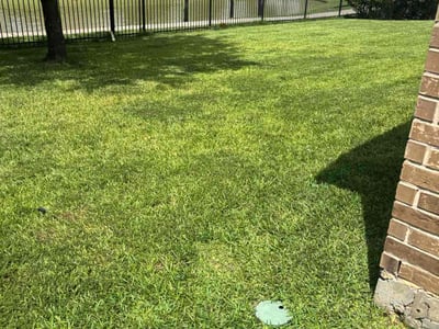Lawn Care service in Katy, 77493