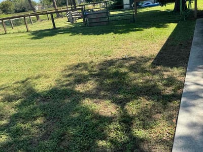 Lawn Care service in Dickinson, 77539