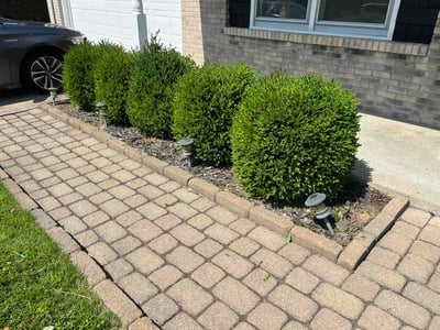 Lawn Care service in Cerritos, 90703