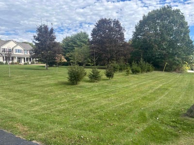 Lawn Care service in Canastota, 13032