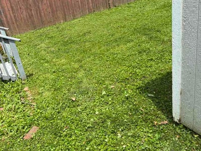 Lawn Care service in Excelsior Springs, 64024